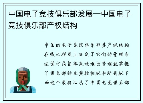 中国电子竞技俱乐部发展—中国电子竞技俱乐部产权结构